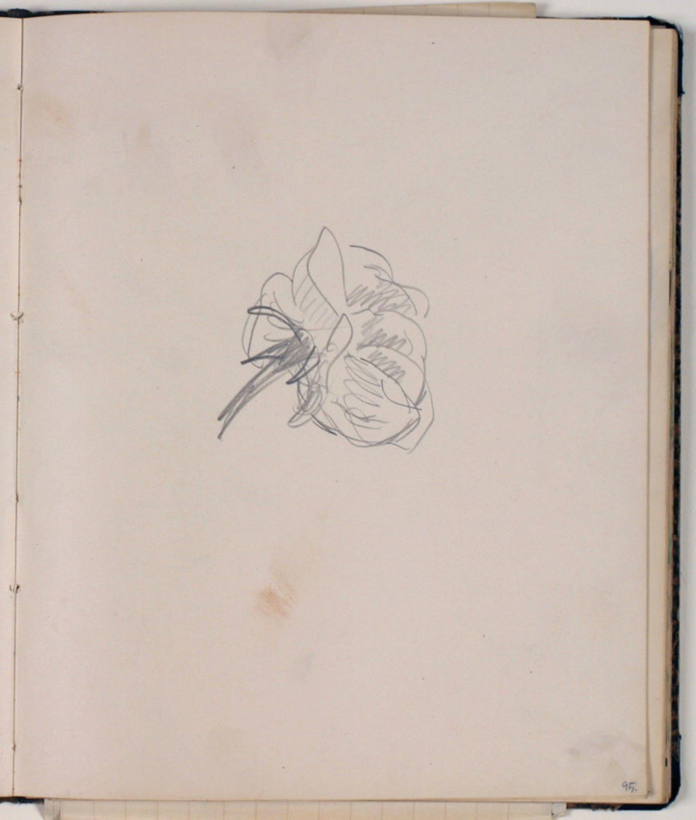 Niels Larsen Stevns, Studie af rose
