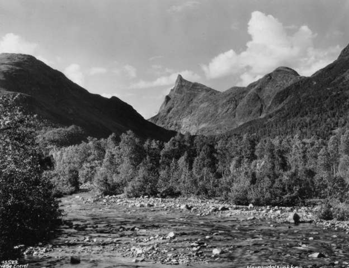Anders Beer Wilse, -6755