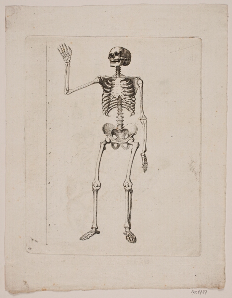 Gerhard Ludvig Lahde, Skelet