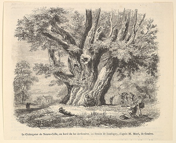 Anonymous, Le Châtaignier de Neuve-Celle, au bord du lac de Genève, after Daubigny