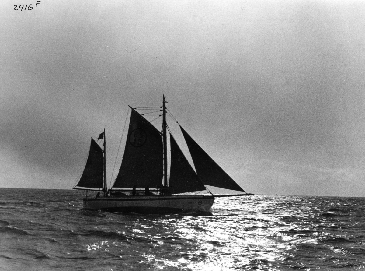 Anders Beer Wilse, Redningsskoyter