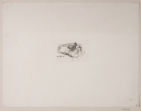 Vilhelm Kyhn, Hundehoved