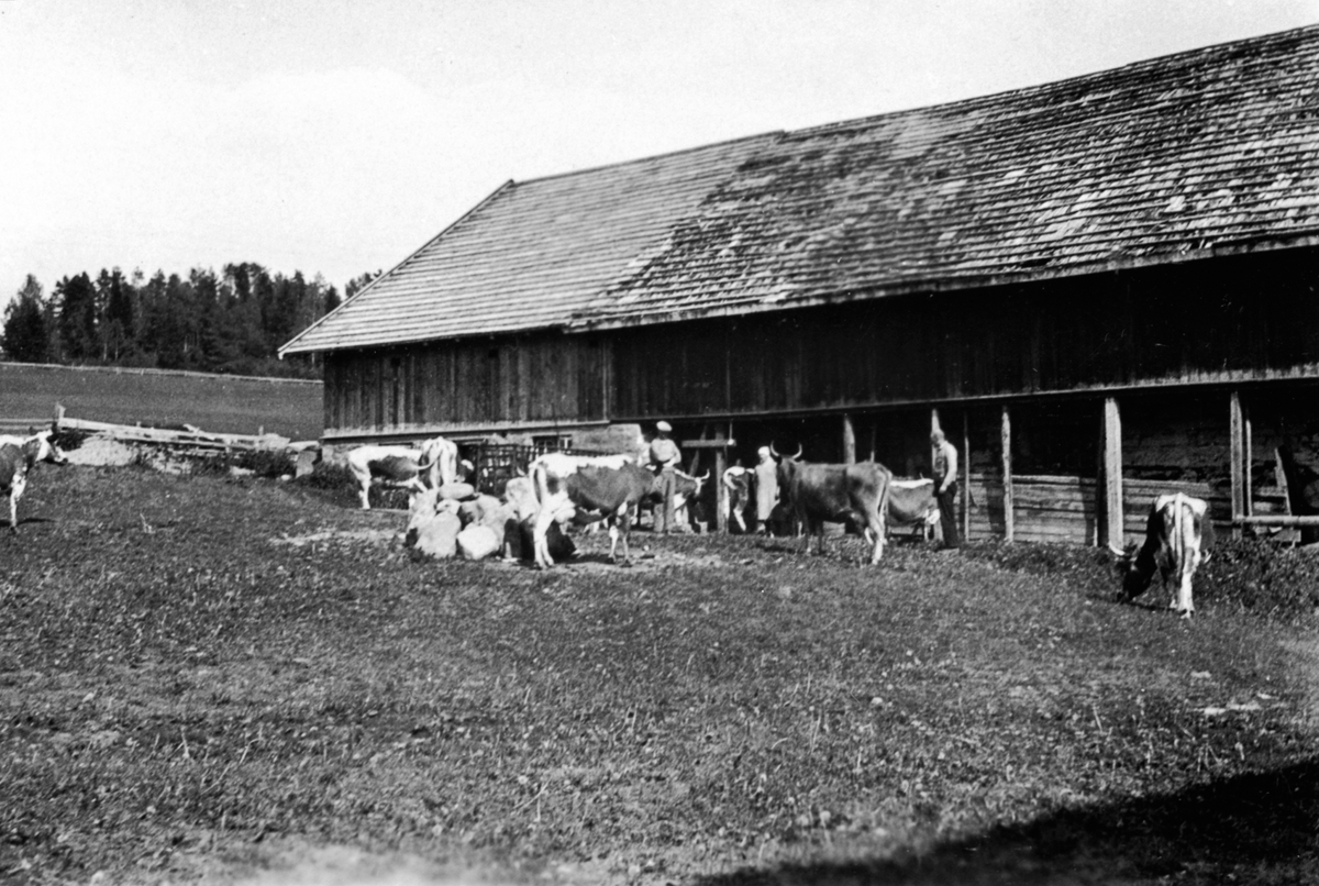 Anno Domkirkeodden, Eksteriør av låven på Helgeby, Nes, Hedmark med telemarksku utenfor.