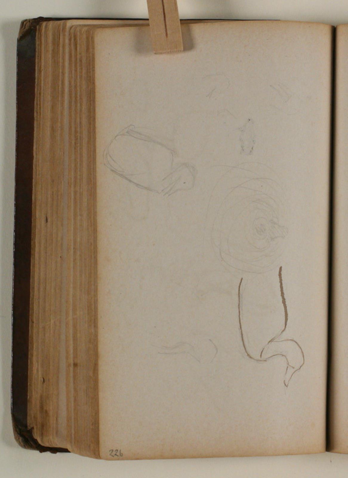 Niels Larsen Stevns, Studier af fugle