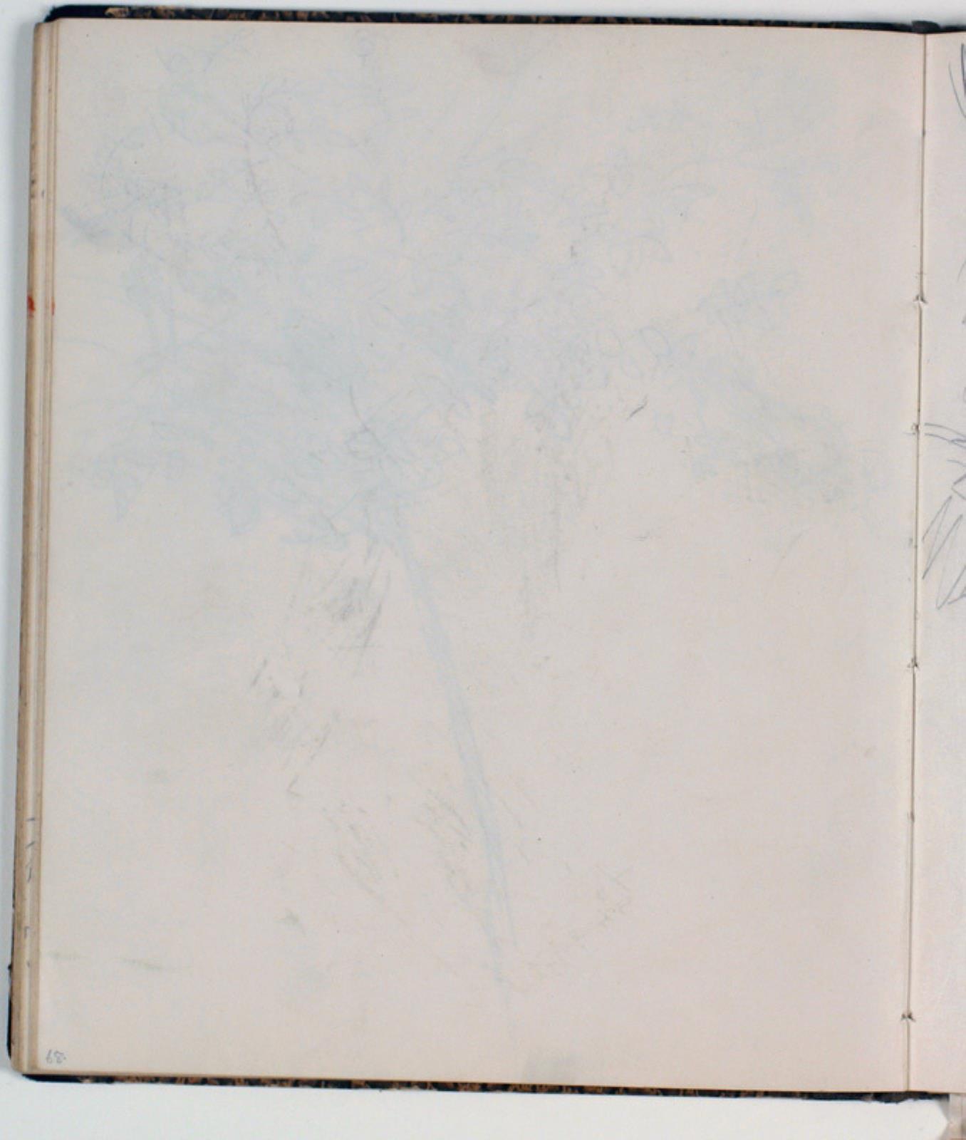 Niels Larsen Stevns, Blank