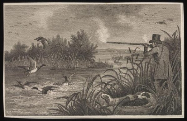 Unknown, Print