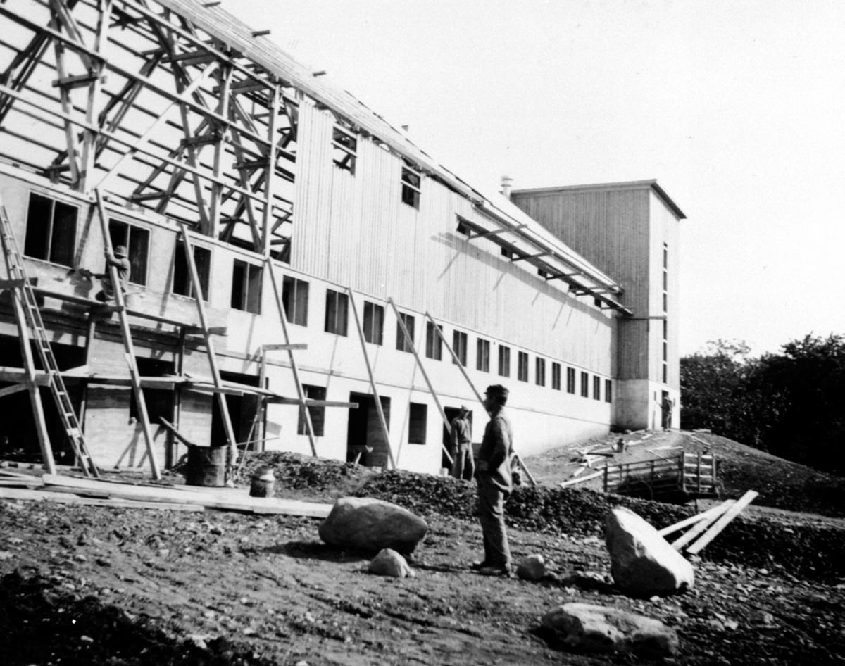 Anno Domkirkeodden, Karl Slåtten sitt snekkerlag som setter opp ny driftsbygning på Hovelsrud, Helgøya etter brannen i 1934. Snekkere i ferd med å sette på ytterpanel.