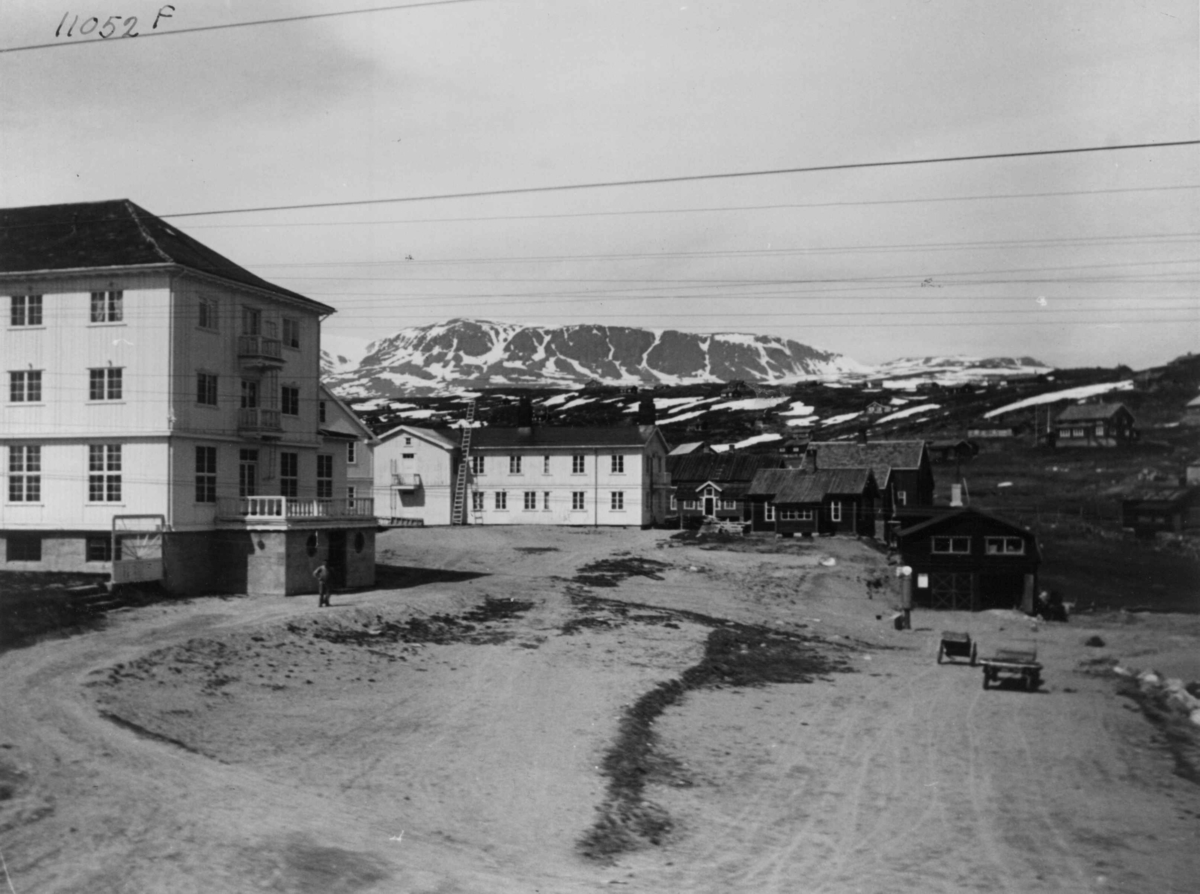 Anders Beer Wilse, Ustaoset, Hallingskarvet
