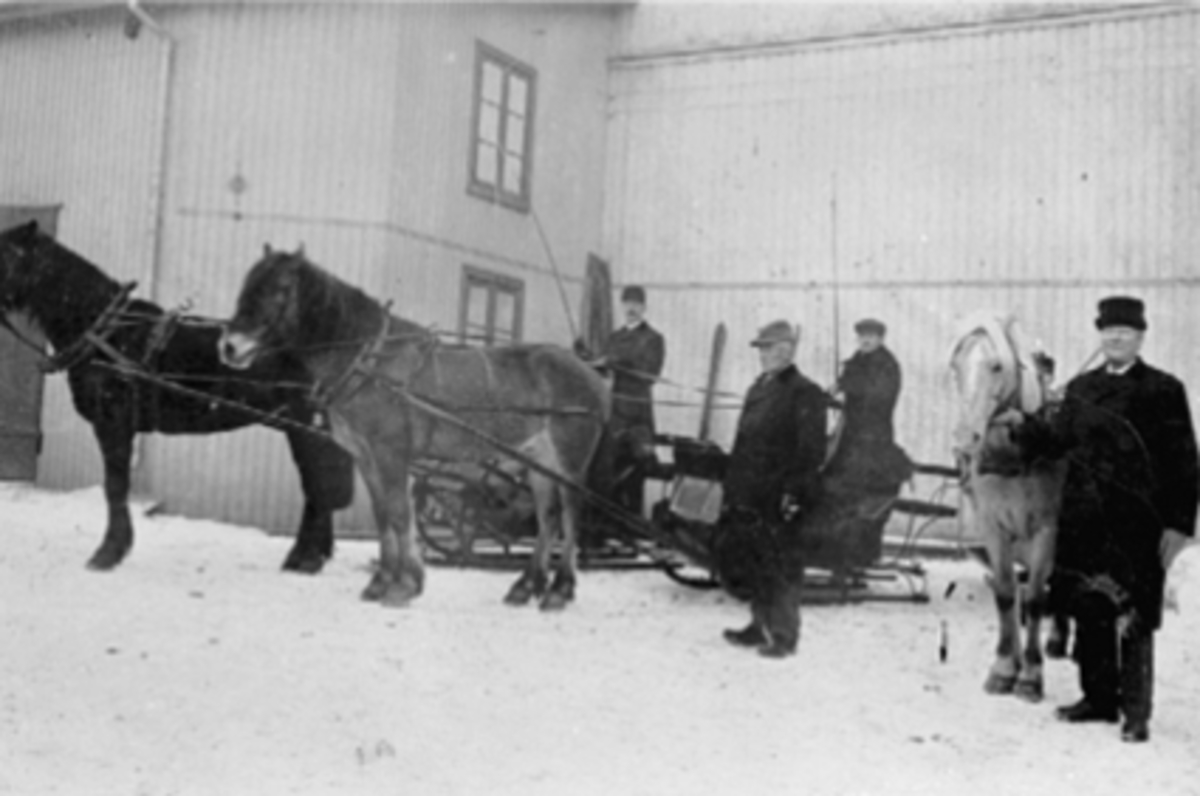 Anno Domkirkeodden, GRUPPE, KUSKER, HESTER, SLEDEPostkort stemplet Hamar 29-4 1911