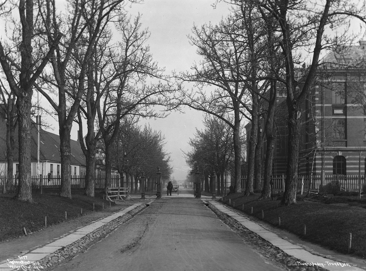 Anders Beer Wilse, Prot: Trondhjem - Munkegaten fra Kirken 15/5 1906