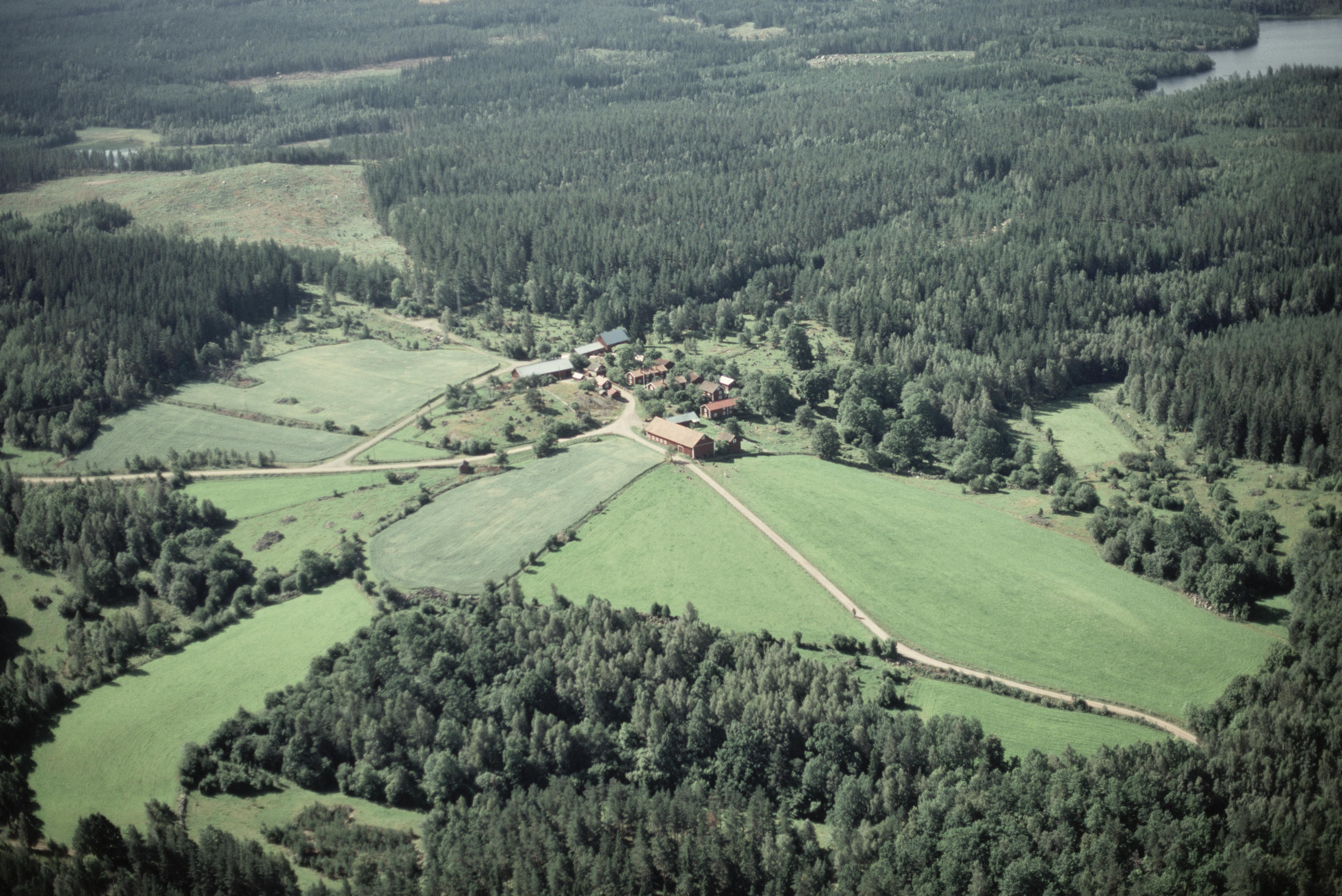Jan Norrman, Kisa 19:1