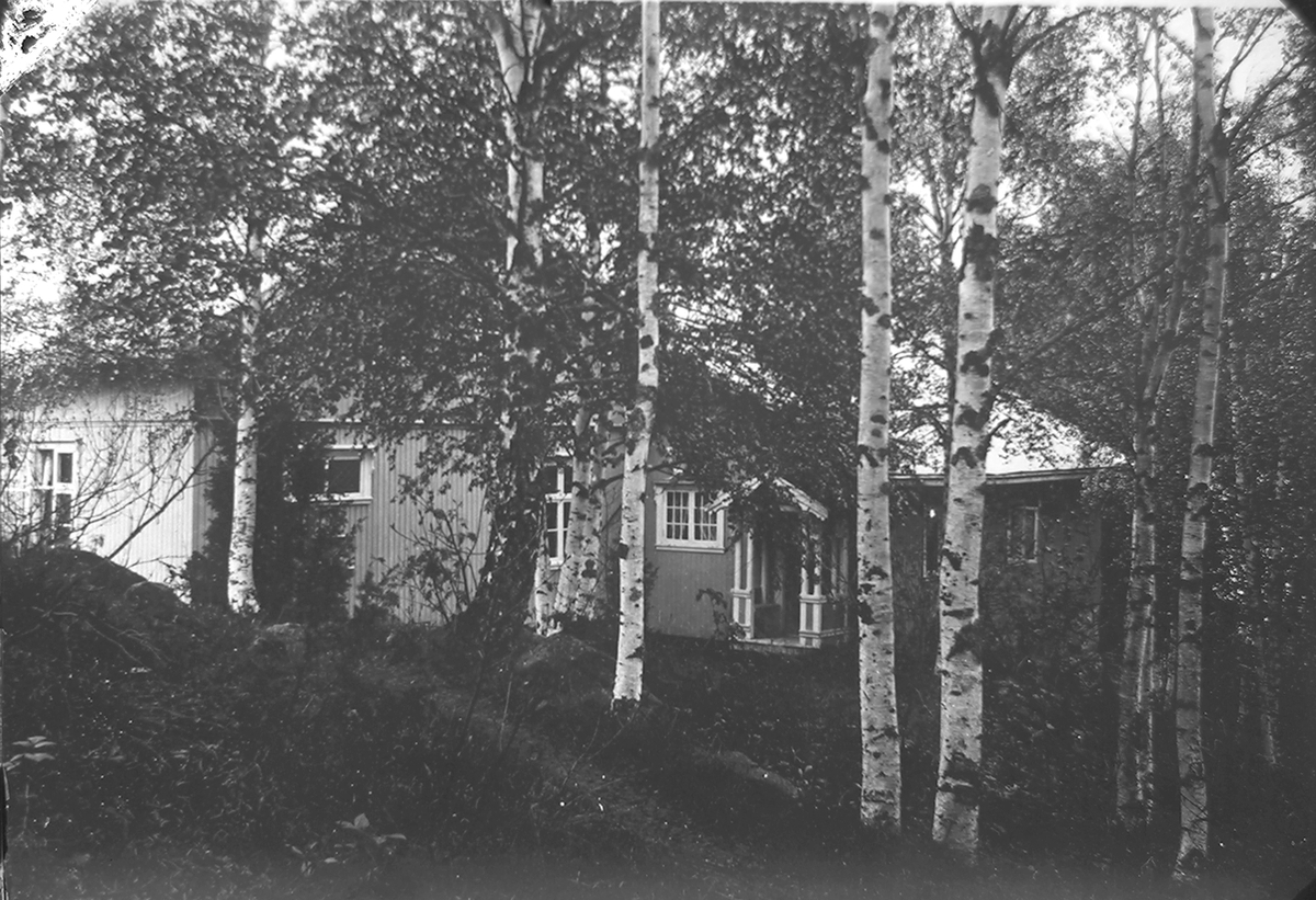 Anders Beer Wilse, Prot: frk. Krane, hus