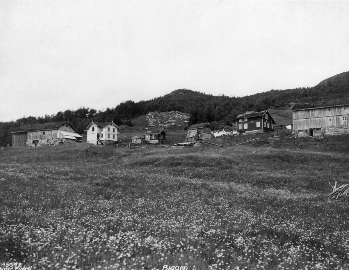 Anders Beer Wilse, Bjåen, Bebyggelse