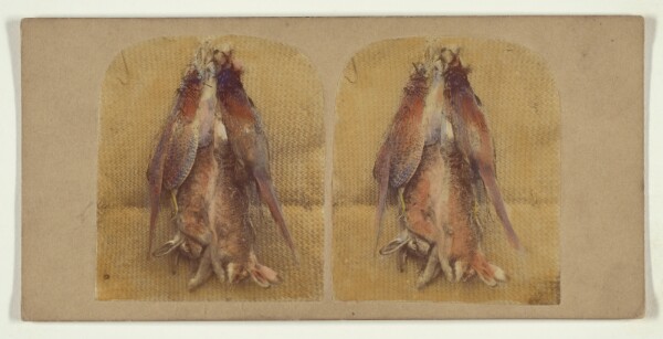 Roger Fenton, [Still life of hanging fowl and rabbits]
