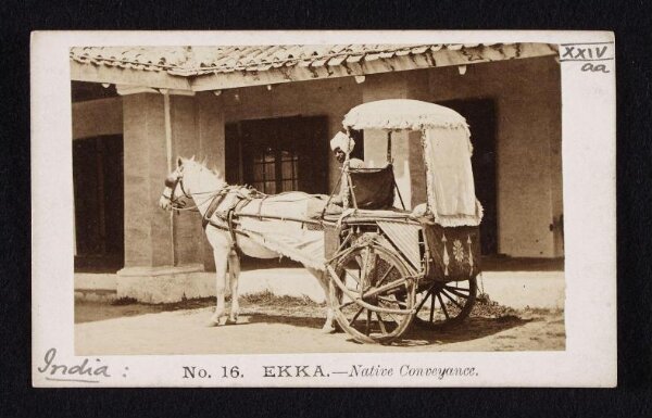 Unknown, Ekka