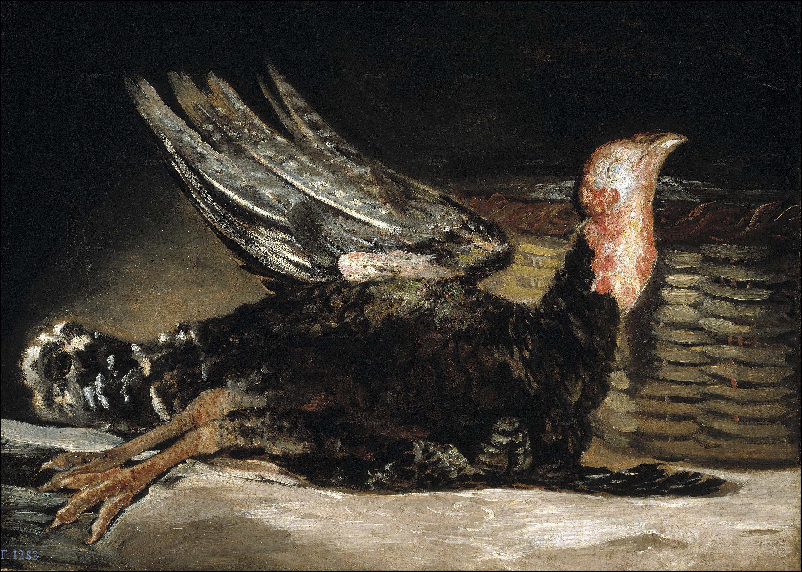 Francisco Goya, Dead turkey