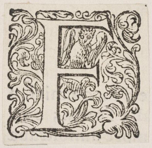Unknown, Print
