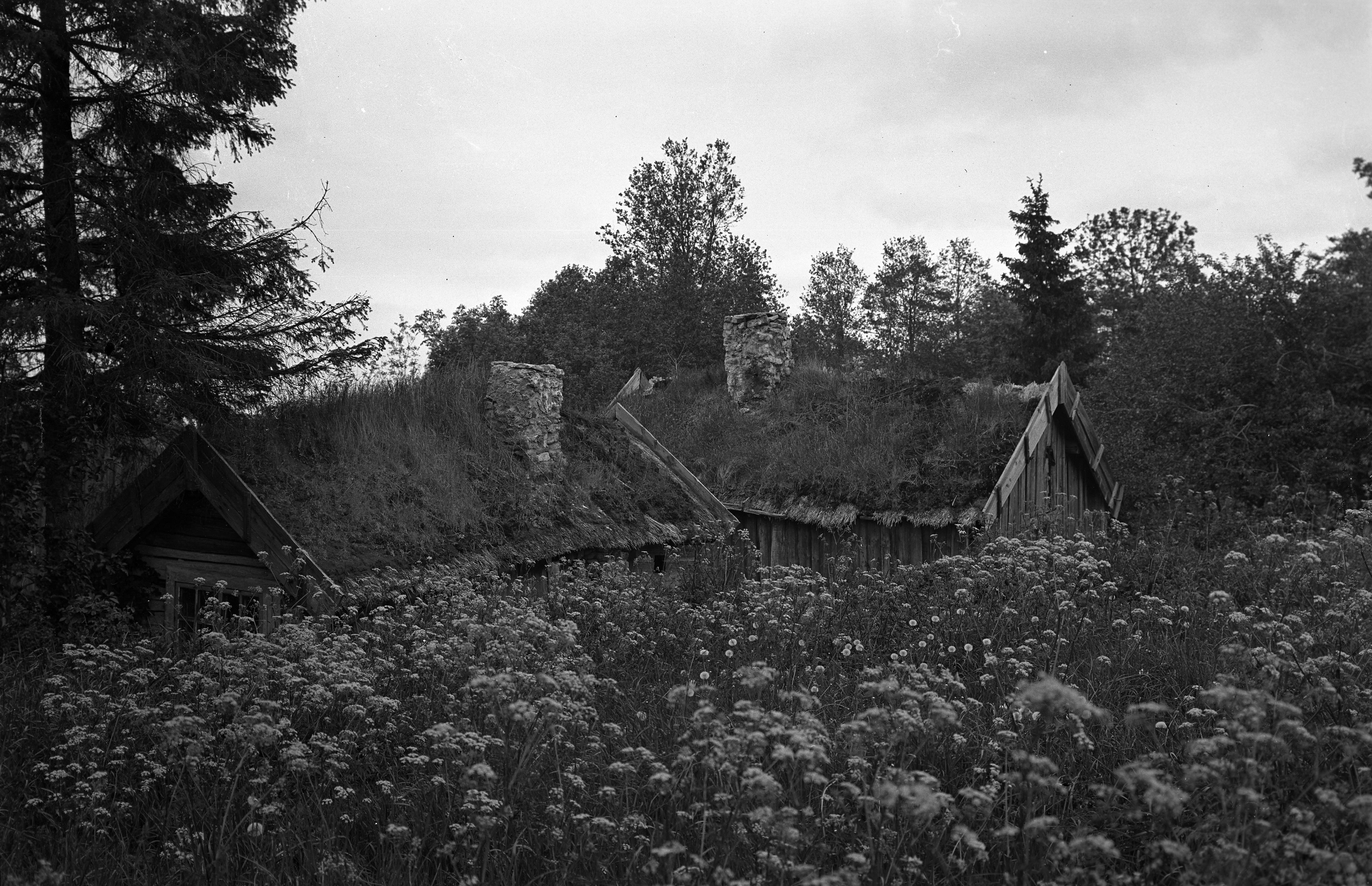 Mårten Sjöbeck, Åsle by
