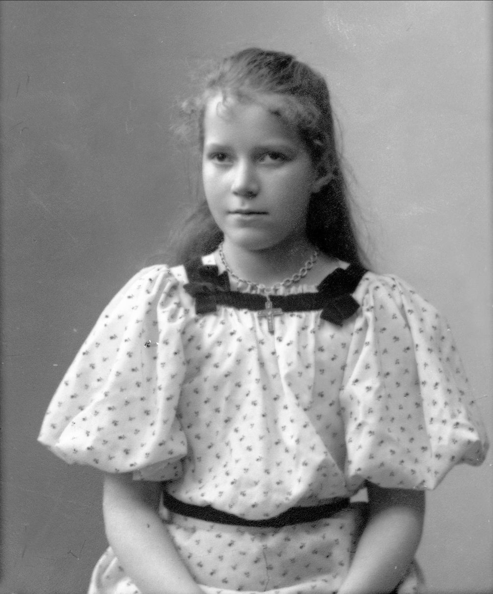 Gustav Borgen, NFB.31531