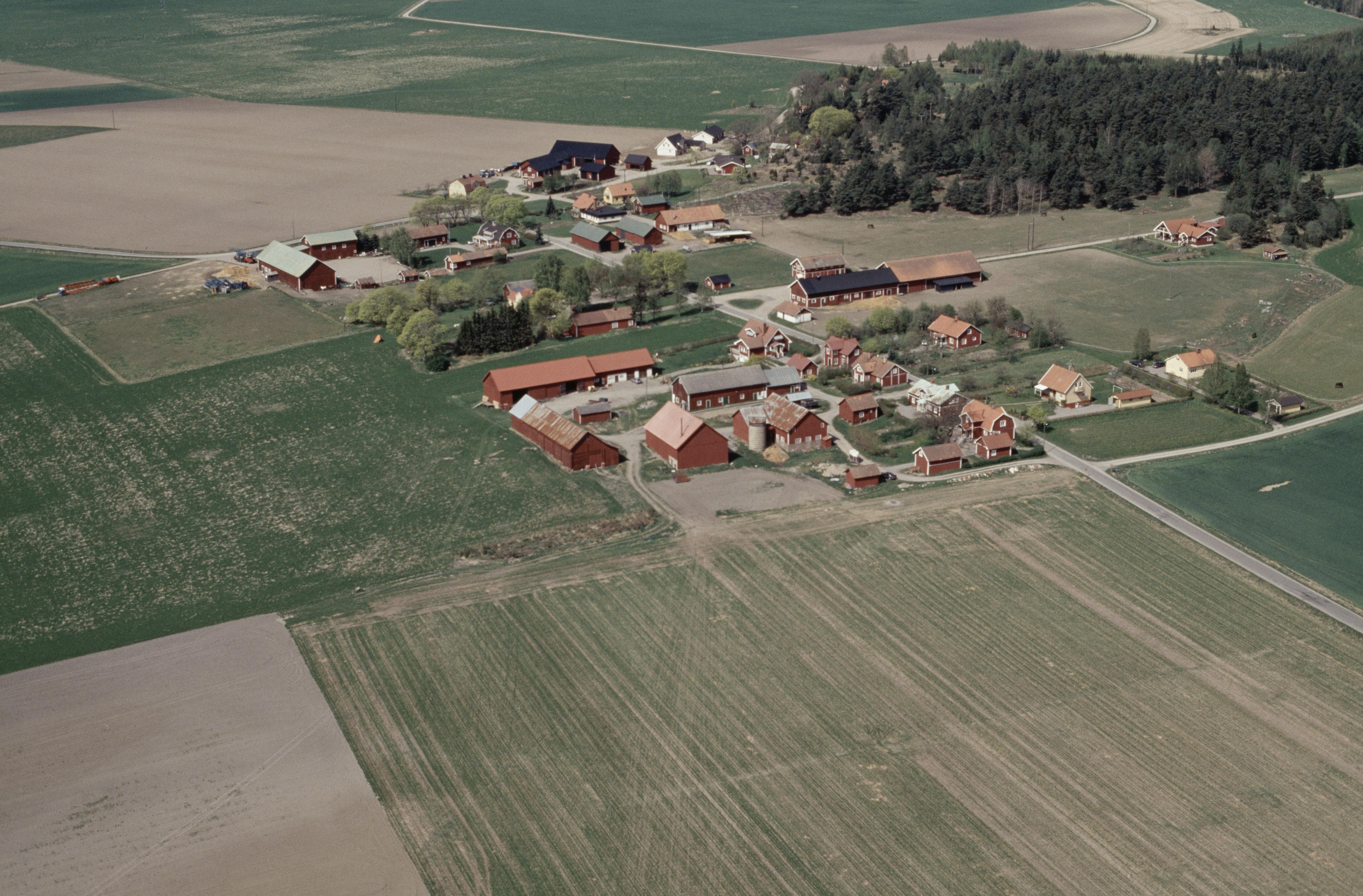 Jan Norrman, Brunnsta