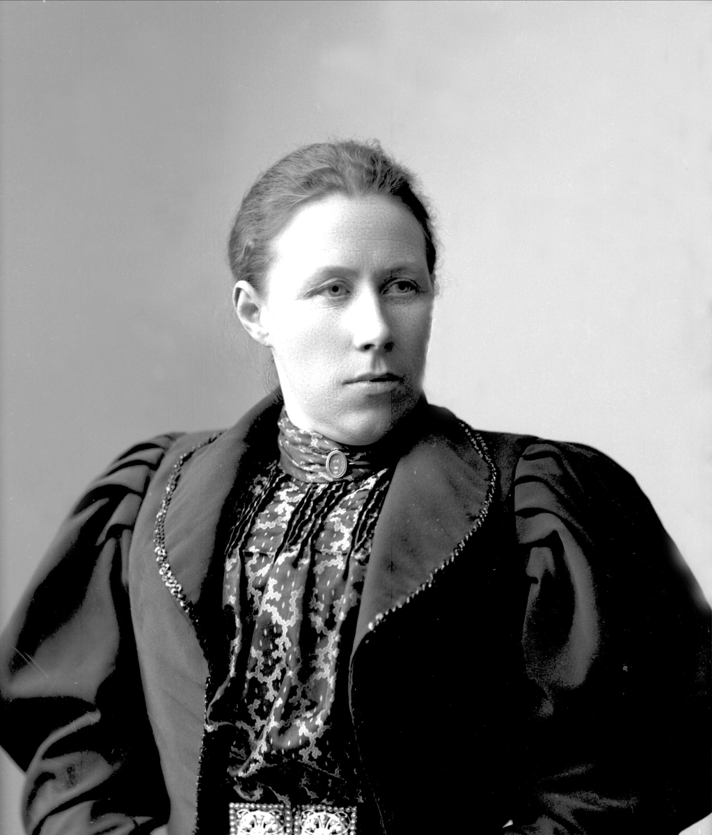 Gustav Borgen, NFB.30079