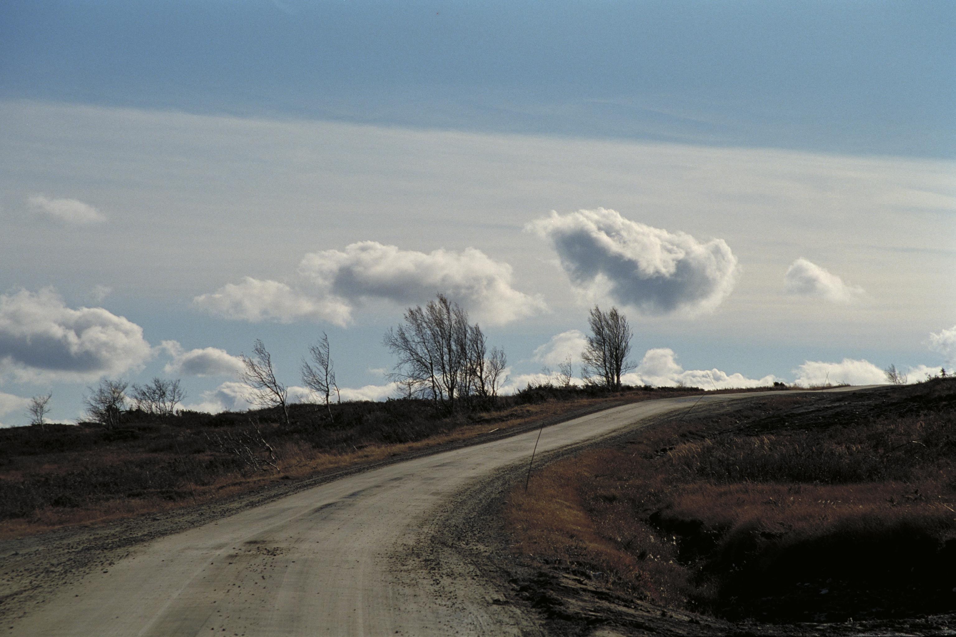 Bengt A Lundberg, Flatruet