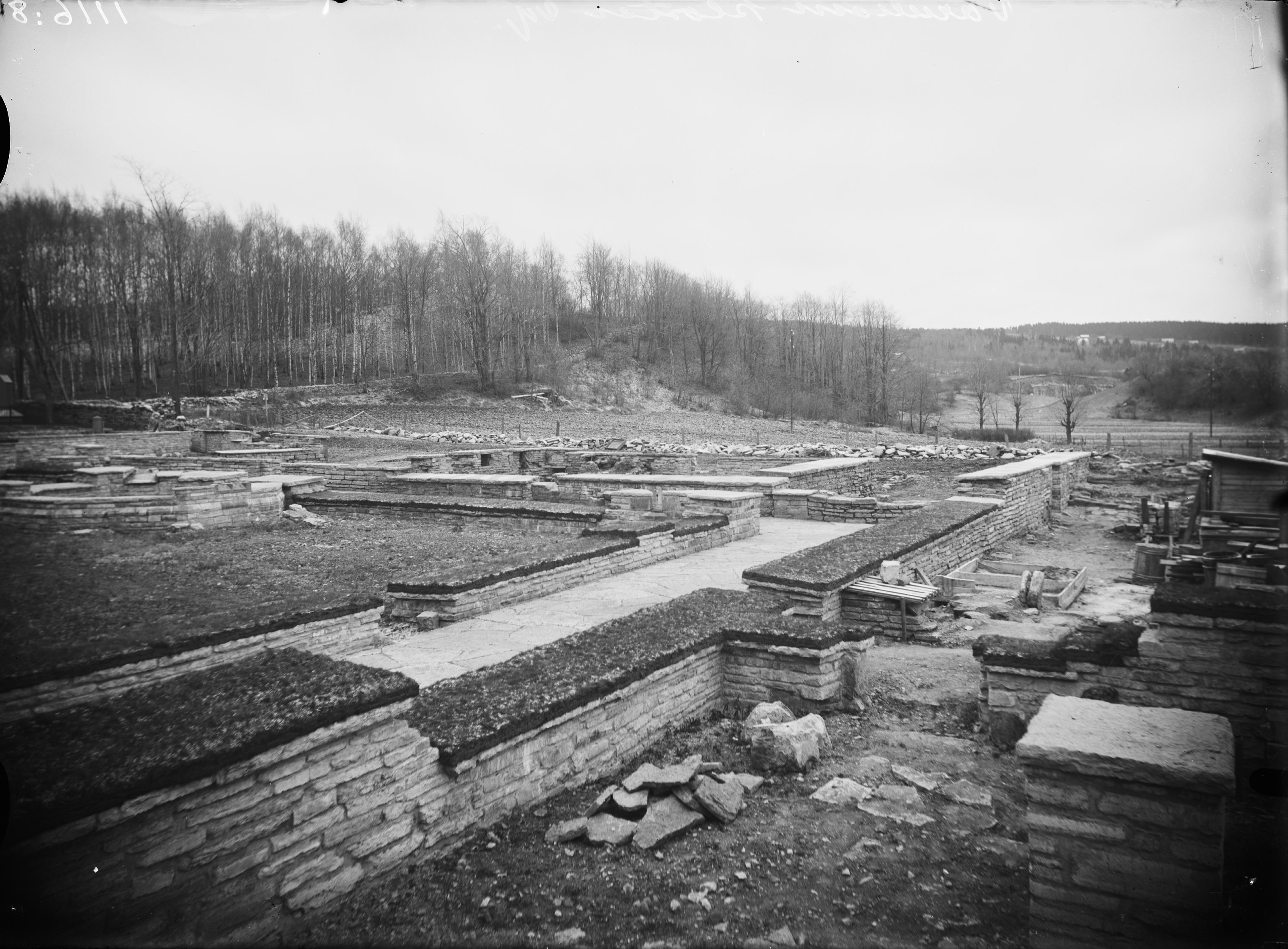Axel Forssén, Varnhems klosterruin