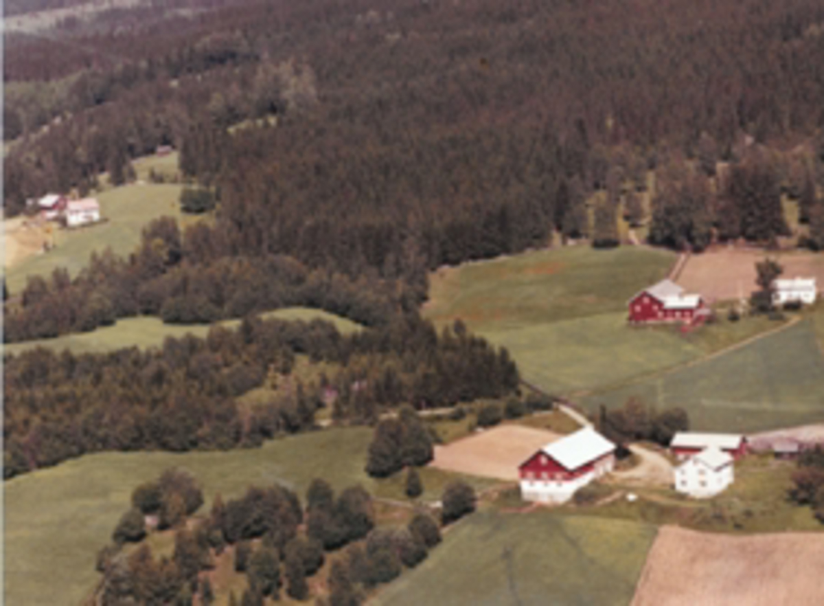 Widerøes Flyveselskap A/S, Flyfoto av Pinnerudbakken, Furnes, Ringsaker. Nederst til høyre er Rønningsbakken, midt på bildet til høyre er Høystad.