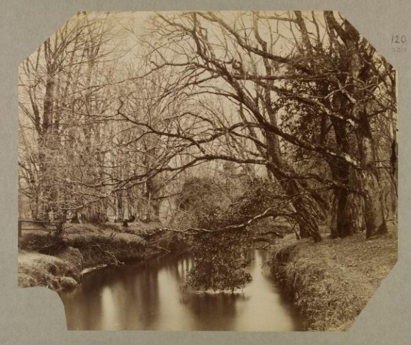 Clementina, Lady Hawarden, Photograph