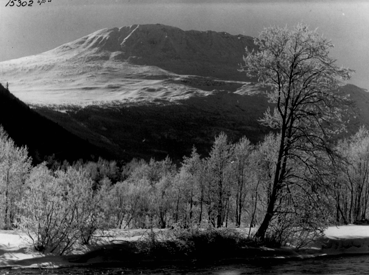 Anders Beer Wilse, Vinterlandskap med Gaustatoppen.