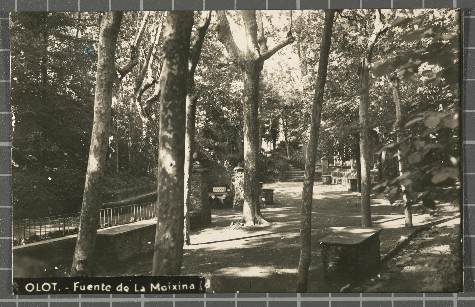 Desconegut, Olot. - Fuente de La Moixina (d