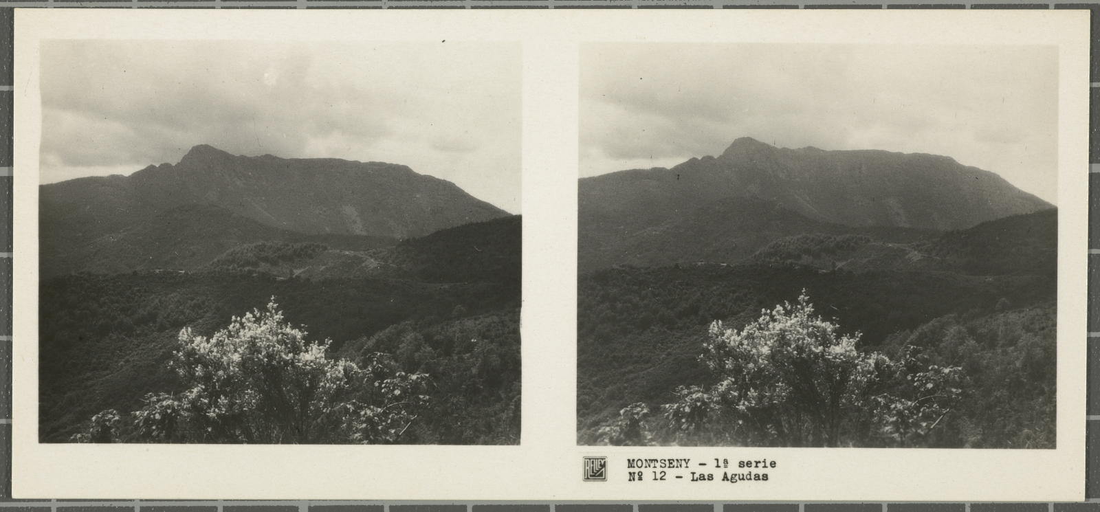 Desconegut, Montseny (Barcelona-Gerona)