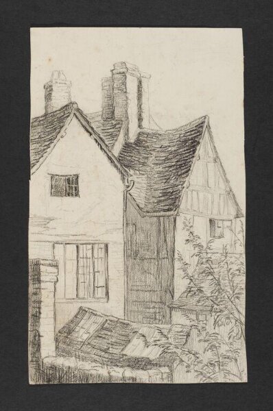 Potter, Beatrix, drawing