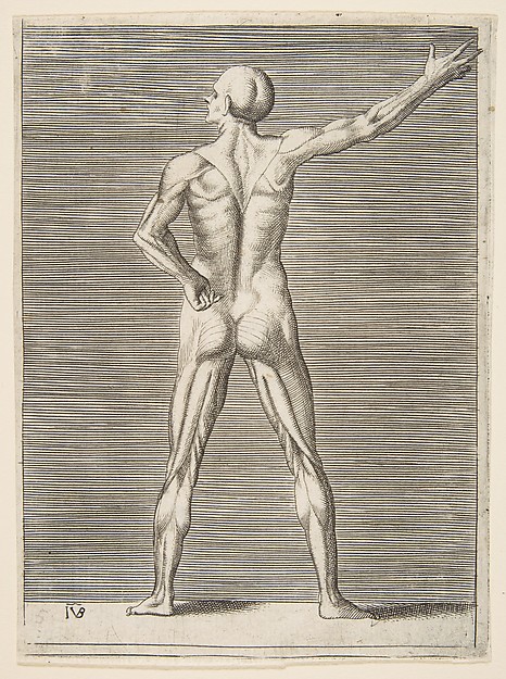 Giulio Bonasone, Flayed man seen from behind, his right arm extended