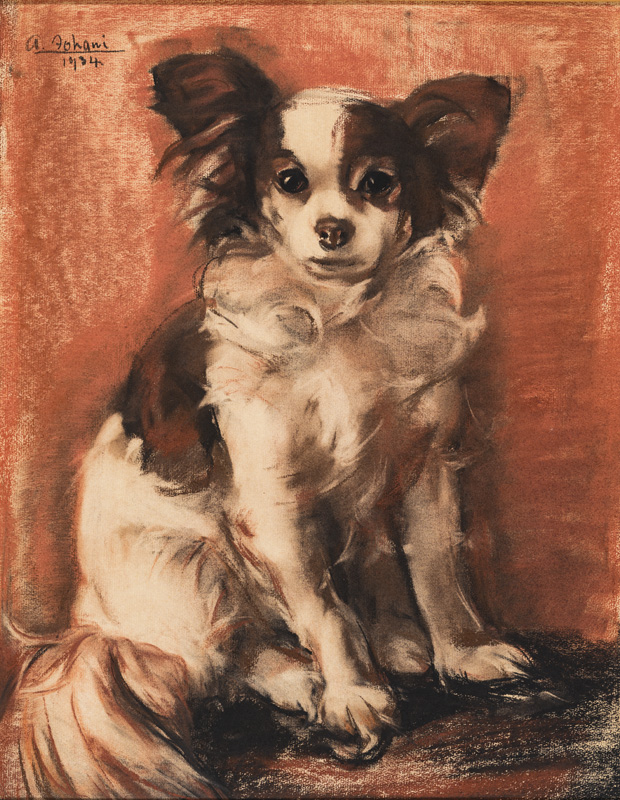 Andrus (autor) Johani, Koer