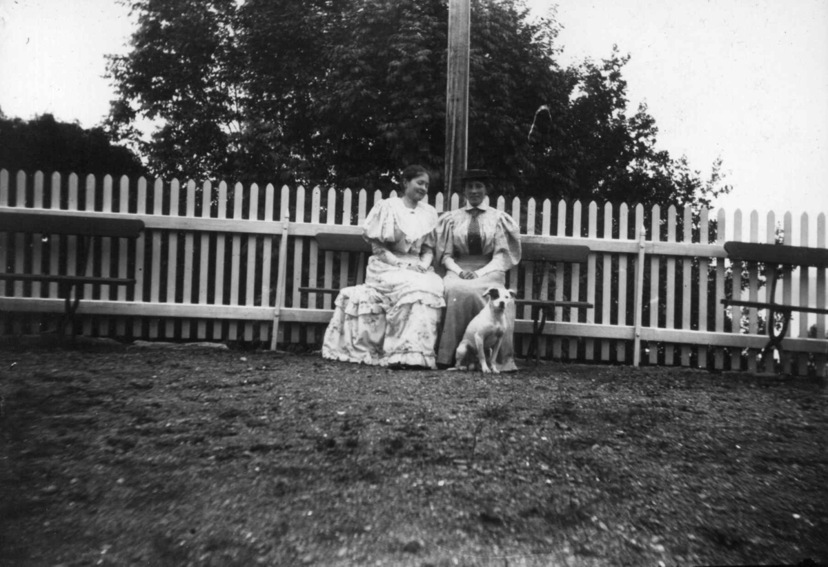 Hermann Christian Neupert, Drakt 1908-10. Hage. To kvinner i lange kjoler og med hatter. Sittende på en benk. En hund.