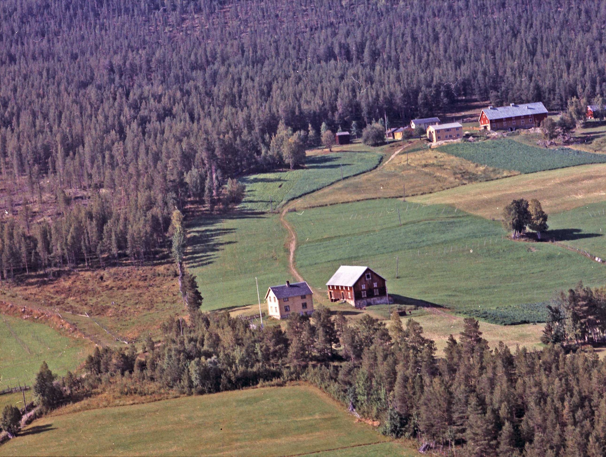 Widerøes Flyveselskap A/S, Gårdsbruk.