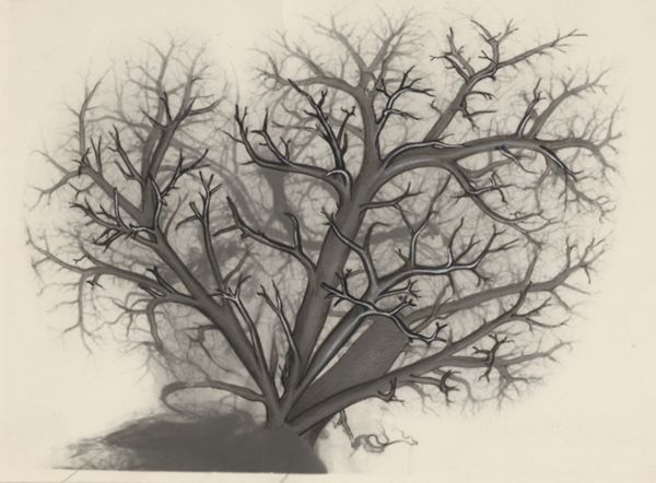 J Tinkelenberg, Bronchi