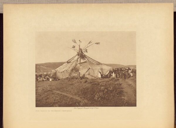 Edward S. Curtis, Sun Dance in Progress - Cheyenne