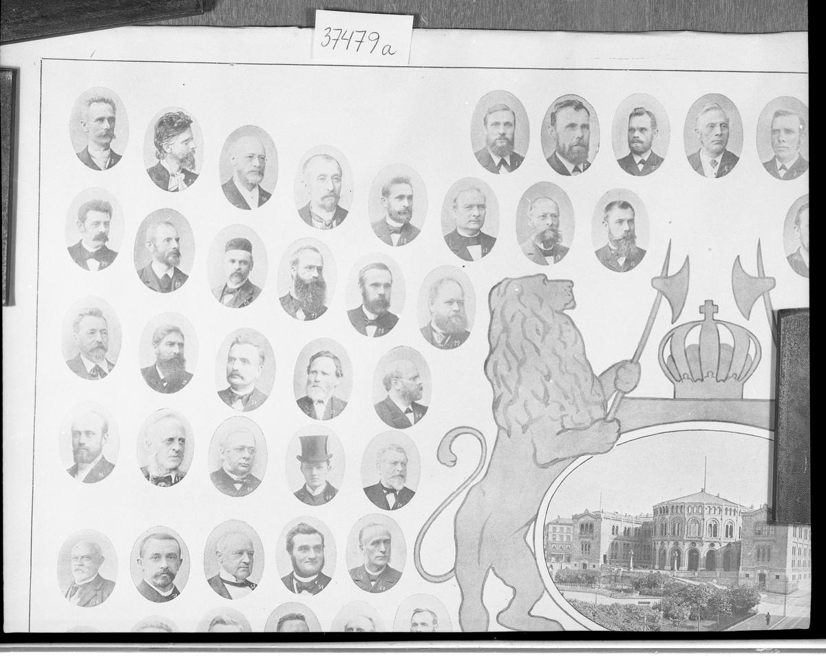 Ukjent, Storthinget 1894-1900