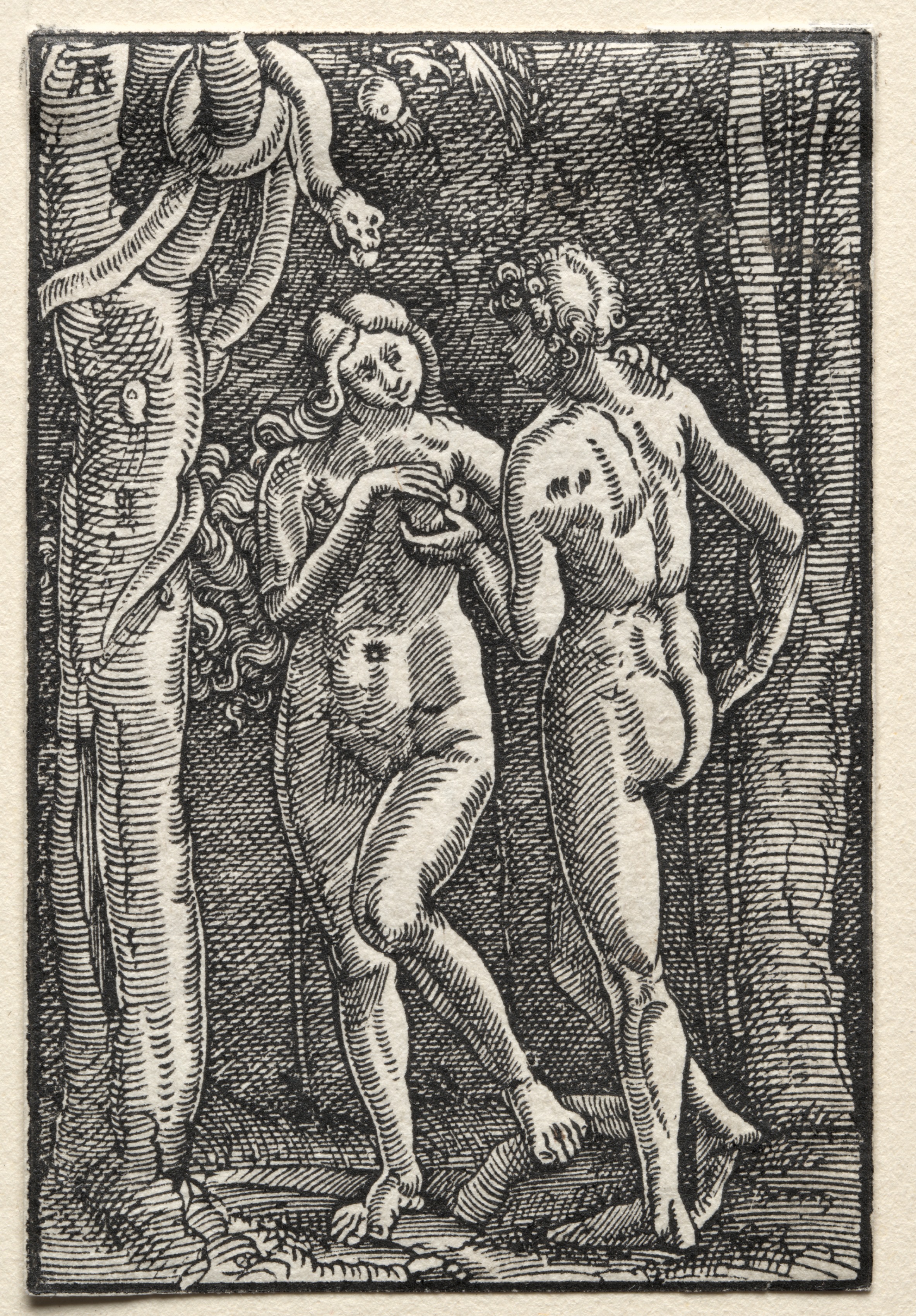 Albrecht Altdorfer, The Fall and Redemption of Man