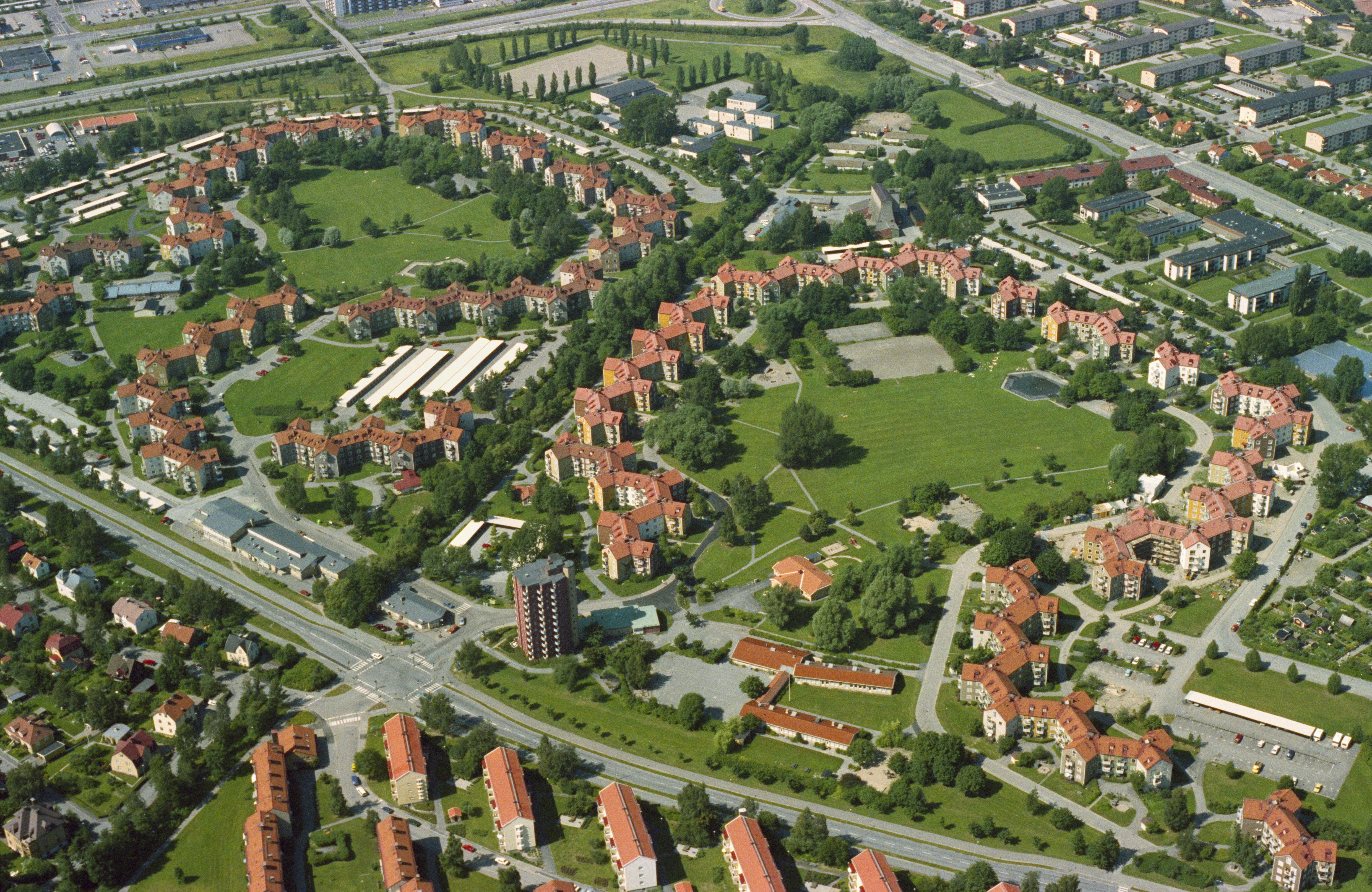 Jan Norrman, Rosta