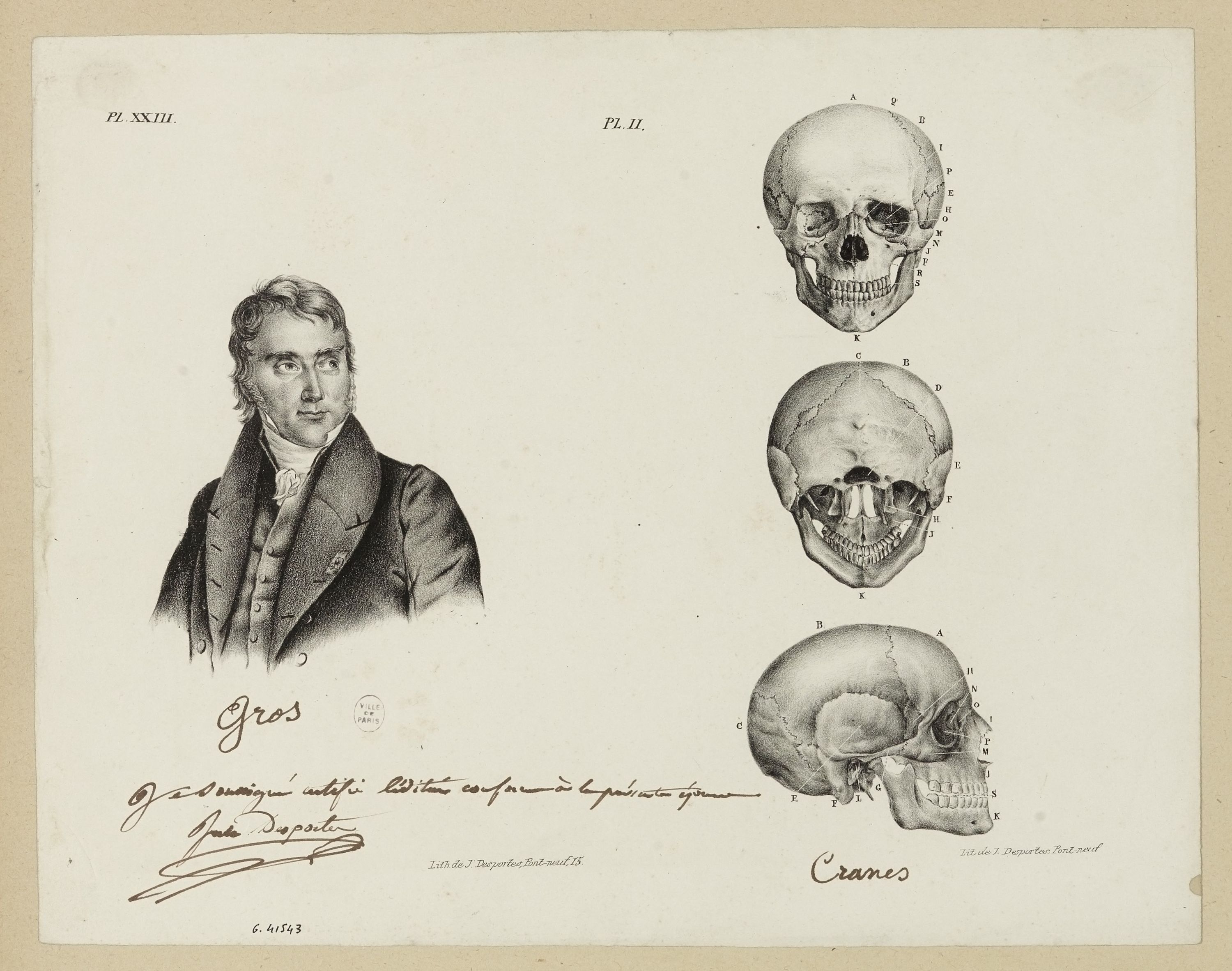 Anonyme, Portrait en buste de Gros (planche 23) et vues de face, profil et dos d'un crâne humain (planche 2)