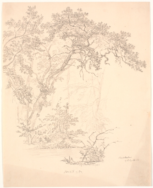 J.P. Møller, Træer