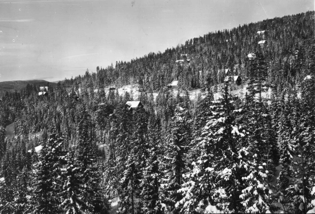Hermann Christian Neupert, Oslo, Nordmarka. Vintermotiv. Skog med spredt bebyggelse. Vei gjennom skogen.