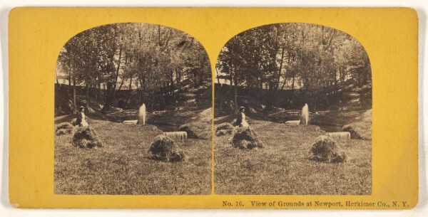 Unknown, View of Grounds at Newport, Herkimer Co., N.Y.