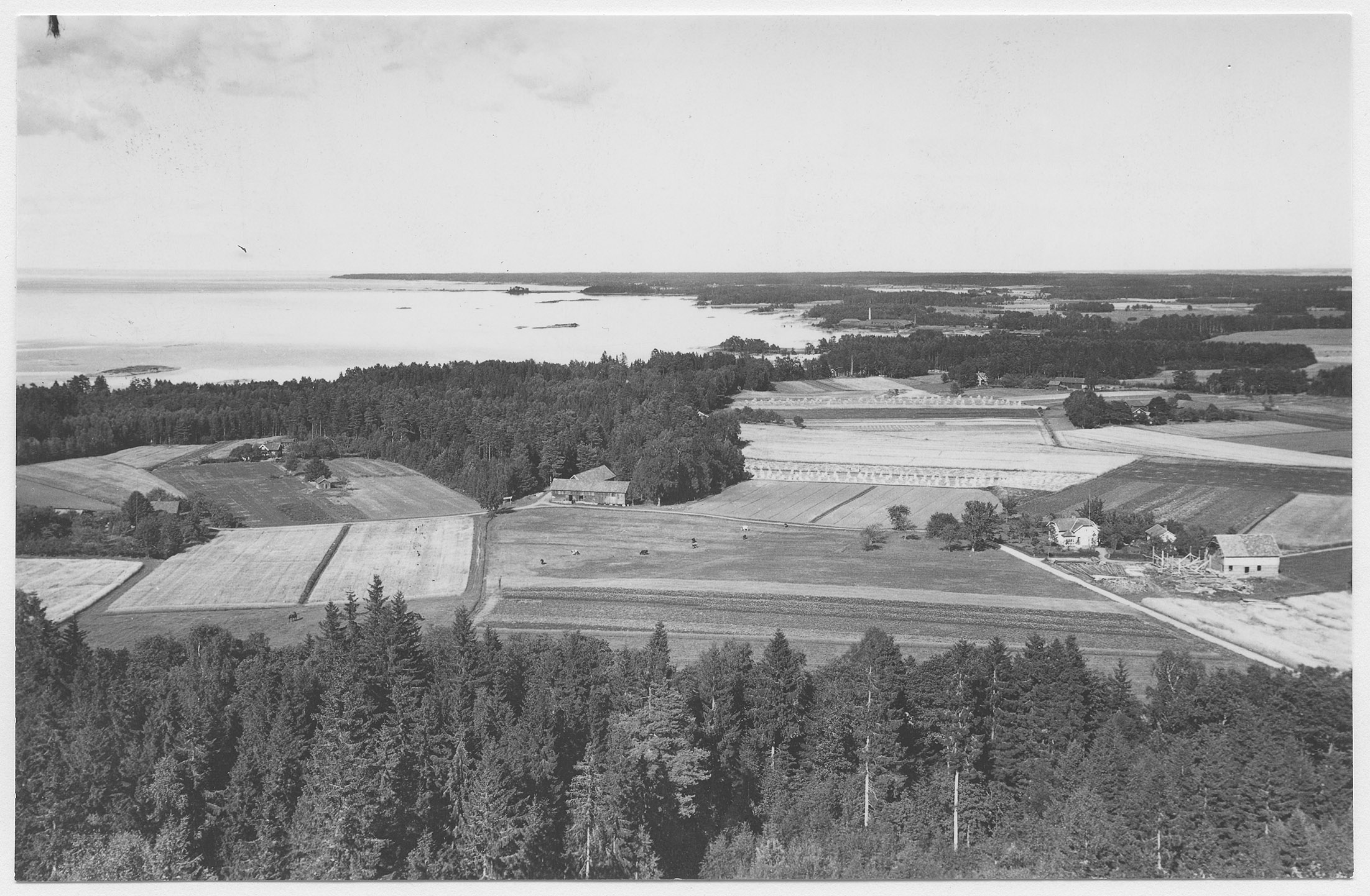 Mårten Sjöbeck, Halleberg