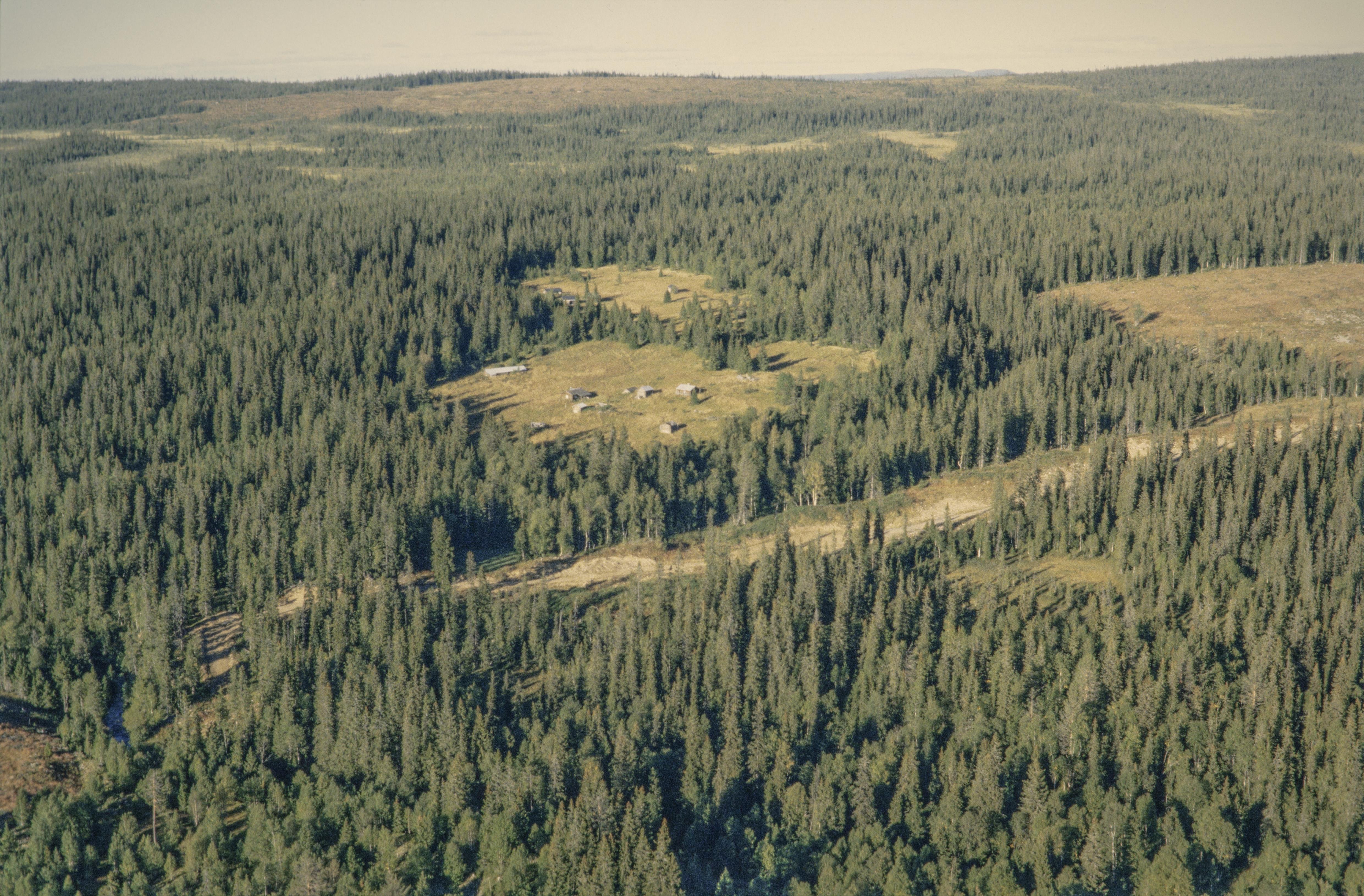Jan Norrman, Blekvallen
