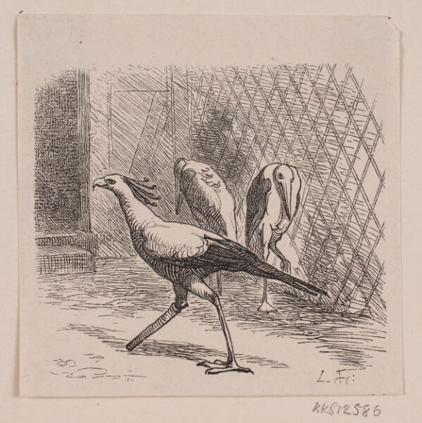 Lorenz Frølich, Sekretær i Jardin des Plantes