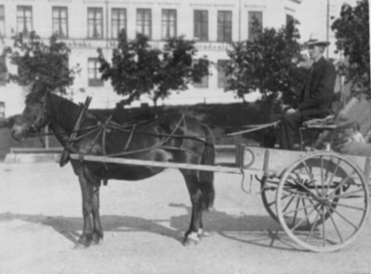 Anno Domkirkeodden, HESTEKJØRETØY, KJERRE, KJØREKAR, KUSK KARL WETTEN, FØDT: 01. 02. 1866, ØSTRE TORG